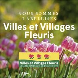 3 fleurs